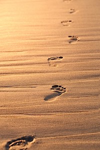 Close up of footprints on the beach sand at the sunset with copy space